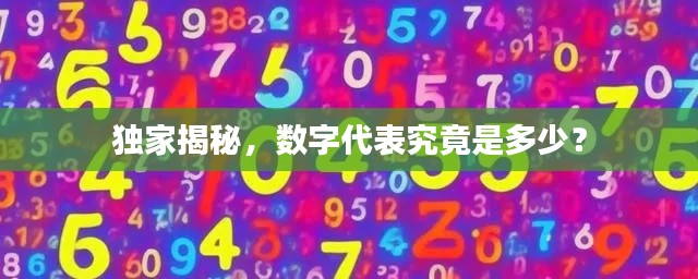 独家揭秘,数字代表究竟是多少?