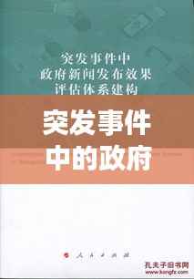 突发事件中的政府应对策略与申请艺术,实战指南
