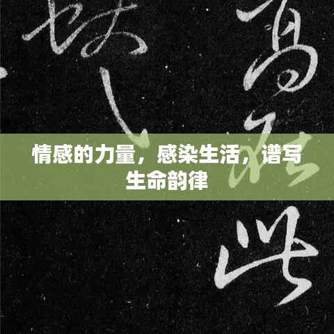 情感的力量,感染生活,谱写生命韵律