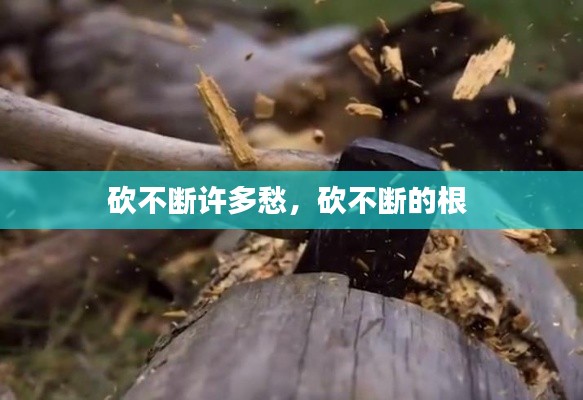 砍不断许多愁,砍不断的根