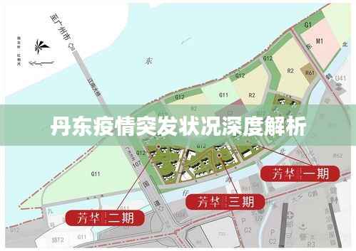 丹东疫情突发状况深度解析