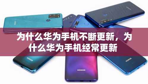 法不阿贵 第2页