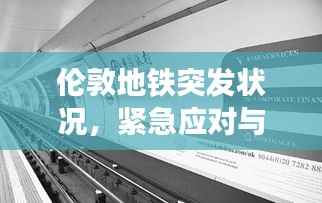 伦敦地铁突发状况,紧急应对与应对细节揭秘