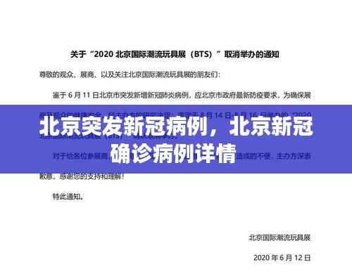北京突发新冠病例,北京新冠确诊病例详情