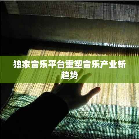 独家音乐平台重塑音乐产业新趋势
