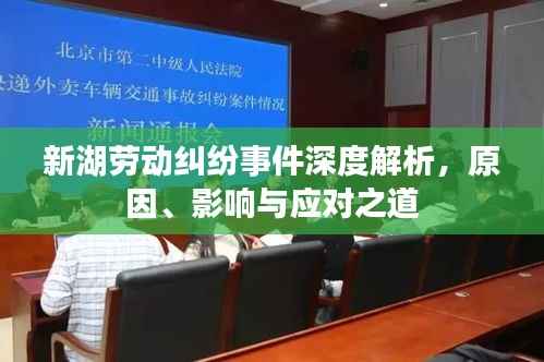 新湖劳动纠纷事件深度解析,原因、影响与应对之道
