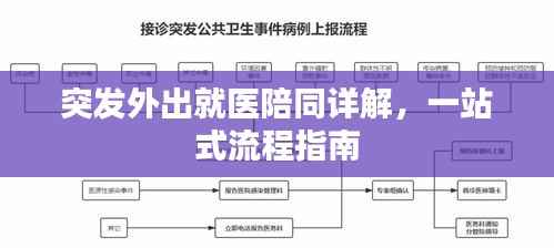 突发外出就医陪同详解,一站式流程指南