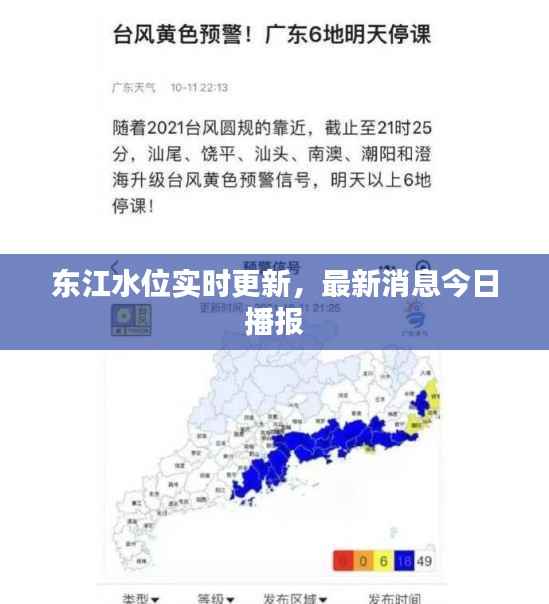 东江水位实时更新,最新消息今日播报