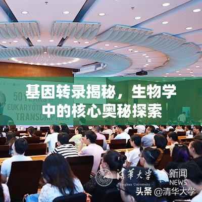 基因转录揭秘,生物学中的核心奥秘探索