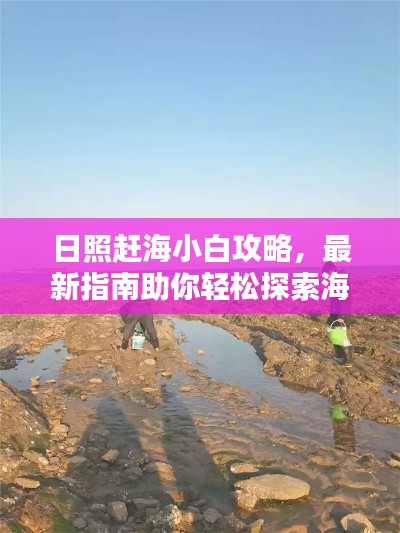 日照赶海小白攻略,最新指南助你轻松探索海味世界!