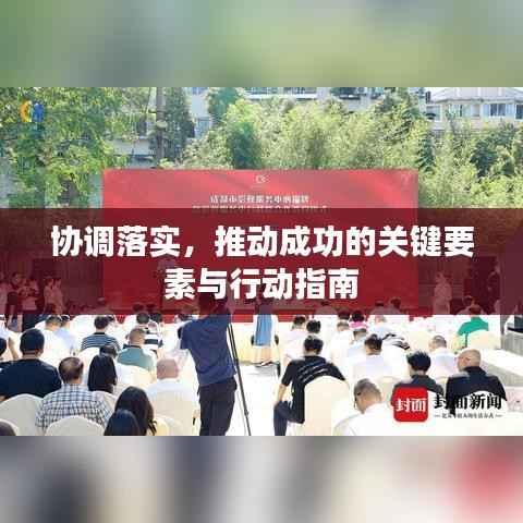 协调落实,推动成功的关键要素与行动指南