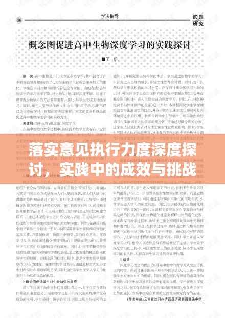 落实意见执行力度深度探讨,实践中的成效与挑战
