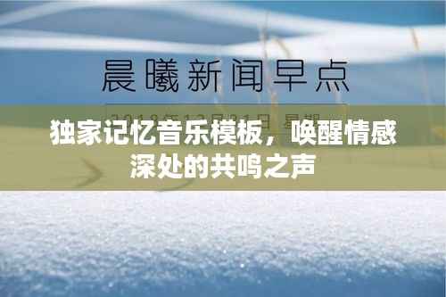 独家记忆音乐模板,唤醒情感深处的共鸣之声