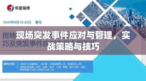 现场突发事件应对与管理,实战策略与技巧