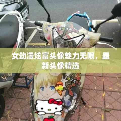 女动漫炫富头像魅力无限,最新头像精选