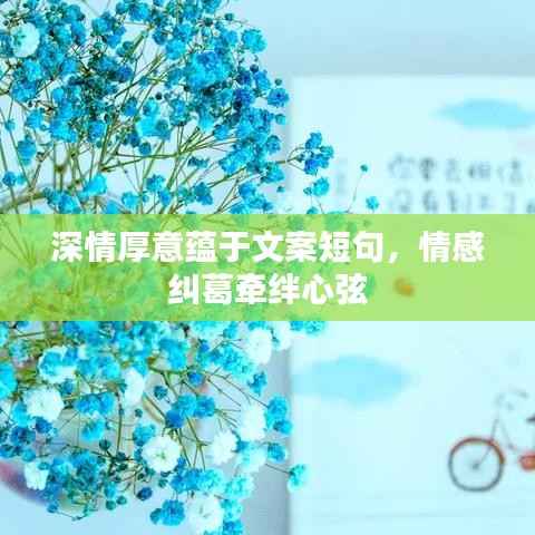 深情厚意蕴于文案短句,情感纠葛牵绊心弦