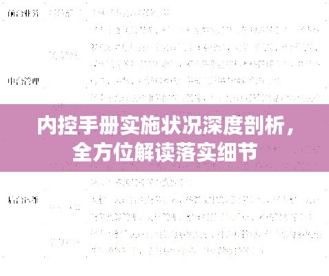 内控手册实施状况深度剖析，全方位解读落实细节