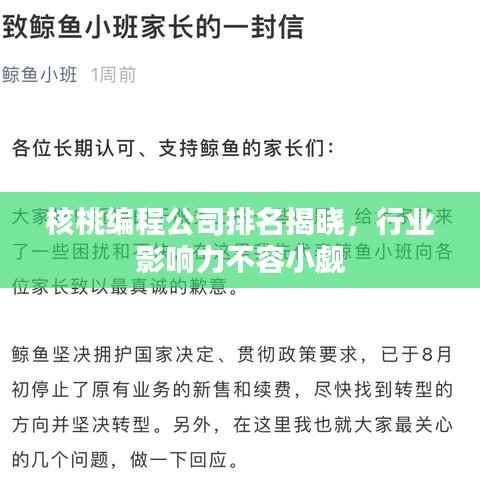 核桃编程公司排名揭晓,行业影响力不容小觑