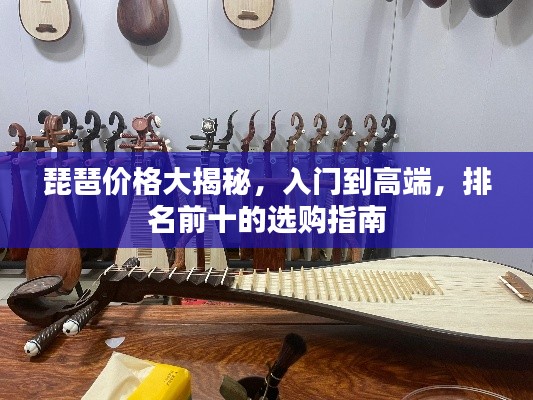 琵琶价格大揭秘,入门到高端,排名前十的选购指南