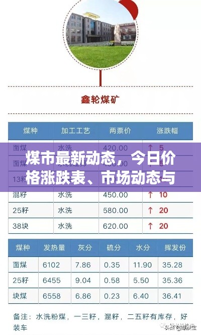 煤市最新动态,今日价格涨跌表、市场动态与影响因素一网打尽