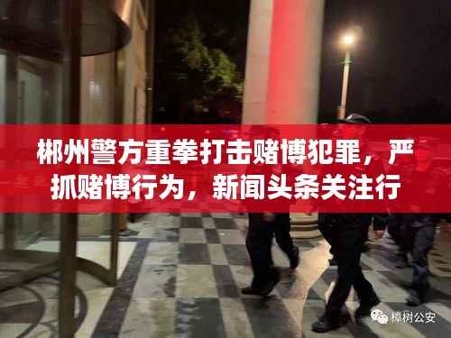 郴州警方重拳打击赌博犯罪,严抓赌博行为,新闻头条关注行动进展