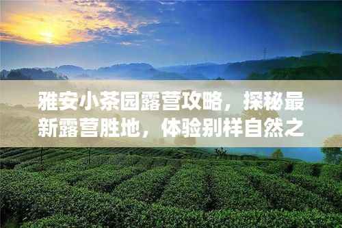 雅安小茶园露营攻略,探秘最新露营胜地,体验别样自然之旅