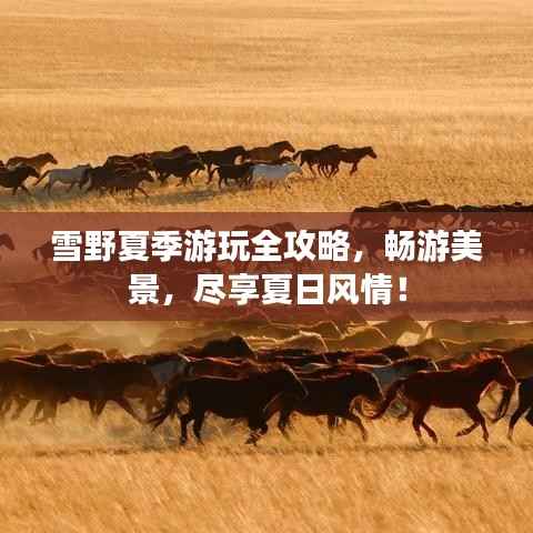 雪野夏季游玩全攻略,畅游美景,尽享夏日风情!
