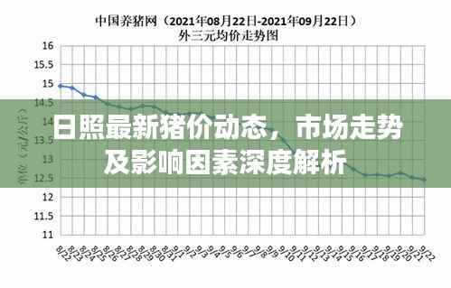 日照最新猪价动态,市场走势及影响因素深度解析