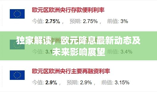 独家解读,欧元降息最新动态及未来影响展望