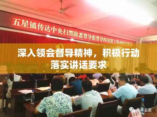 深入领会督导精神,积极行动落实讲话要求