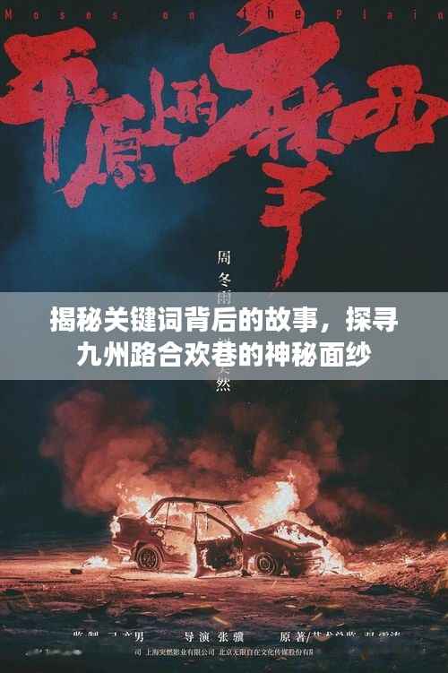 揭秘关键词背后的故事,探寻九州路合欢巷的神秘面纱