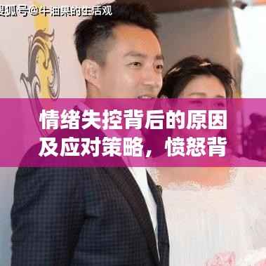 情绪失控背后的原因及应对策略,愤怒背后的深层原因与应对之道