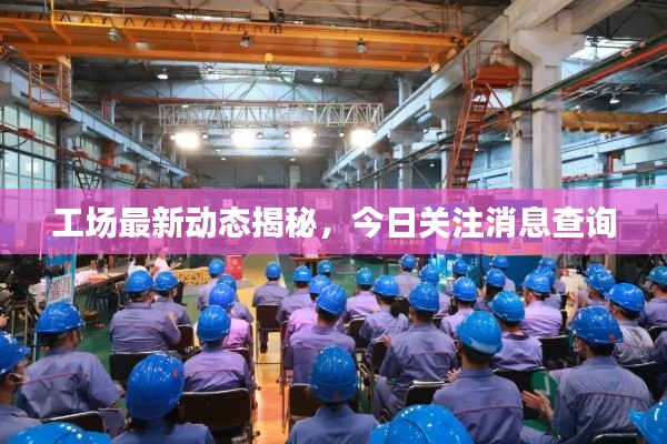 工场最新动态揭秘,今日关注消息查询