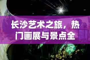 长沙艺术之旅，热门画展与景点全攻略