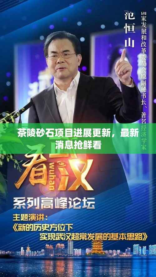 茶陵砂石项目进展更新,最新消息抢鲜看
