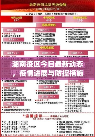 湖南疫区今日最新动态,疫情进展与防控措施更新