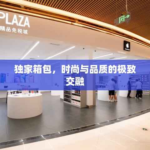 独家箱包，时尚与品质的极致交融