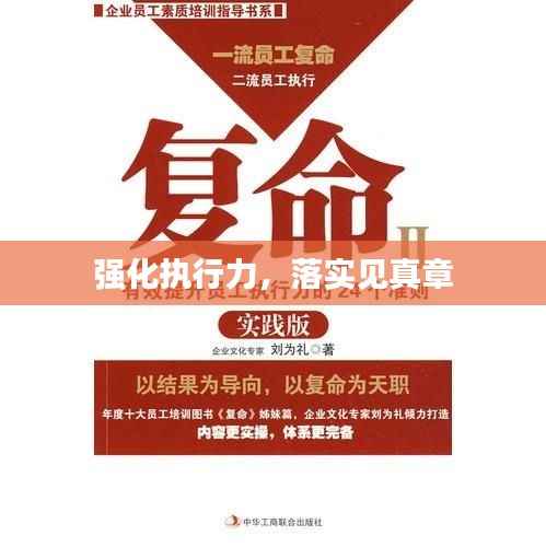 强化执行力,落实见真章