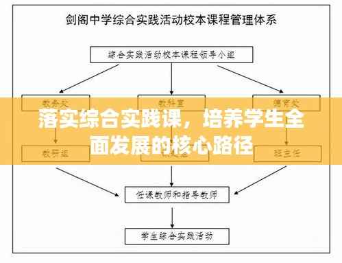 落实综合实践课,培养学生全面发展的核心路径