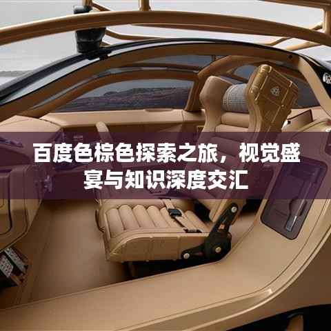 百度色棕色探索之旅,视觉盛宴与知识深度交汇