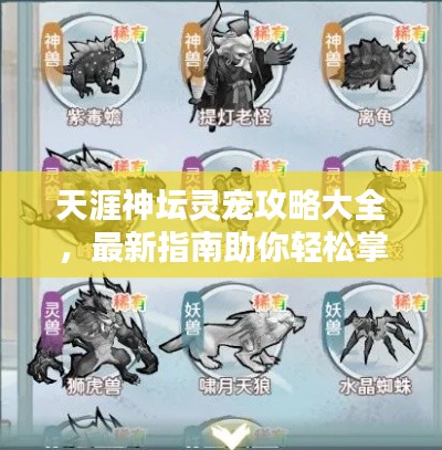 天涯神坛灵宠攻略大全,最新指南助你轻松掌握!