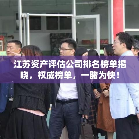 江苏资产评估公司排名榜单揭晓,权威榜单,一睹为快!