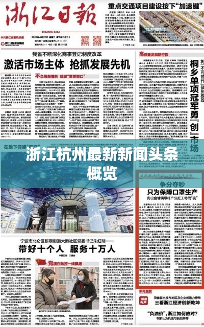 浙江杭州最新新闻头条概览