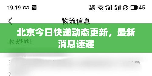 北京今日快递动态更新,最新消息速递