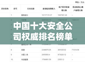 中国十大安全公司权威排名榜单