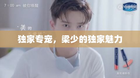 独家专宠,梁少的独家魅力