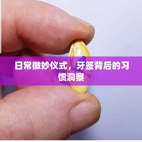 日常微妙仪式,牙签背后的习惯洞察