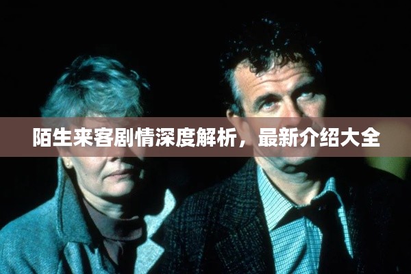 陌生来客剧情深度解析,最新介绍大全