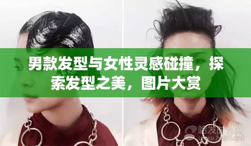 男款发型与女性灵感碰撞,探索发型之美,图片大赏