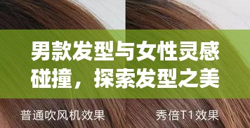 男款发型与女性灵感碰撞,探索发型之美,图片大赏
